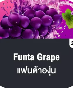 vmc 12000 puff funta grape