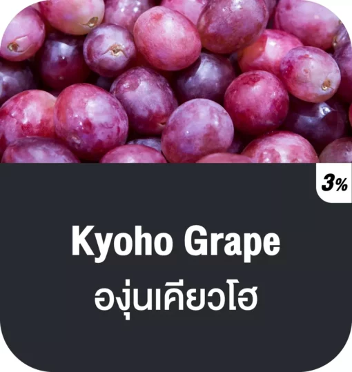 vmc 12000 puff kyoho grape