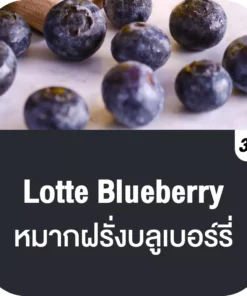 vmc 12000 puff lotte blueberry