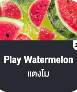 vmc 12000 puff play watermelon