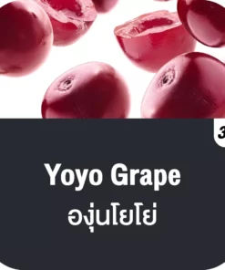 vmc 12000 puff yoyo grape