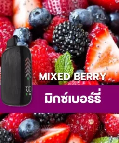 relx novo 14000 puff Mixed Berry