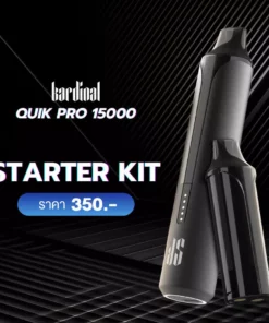 Ks Quik Pro 15k Puff Starter Kit